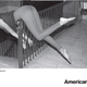 Illustration for article titled A Financial Scandal At American Apparel?